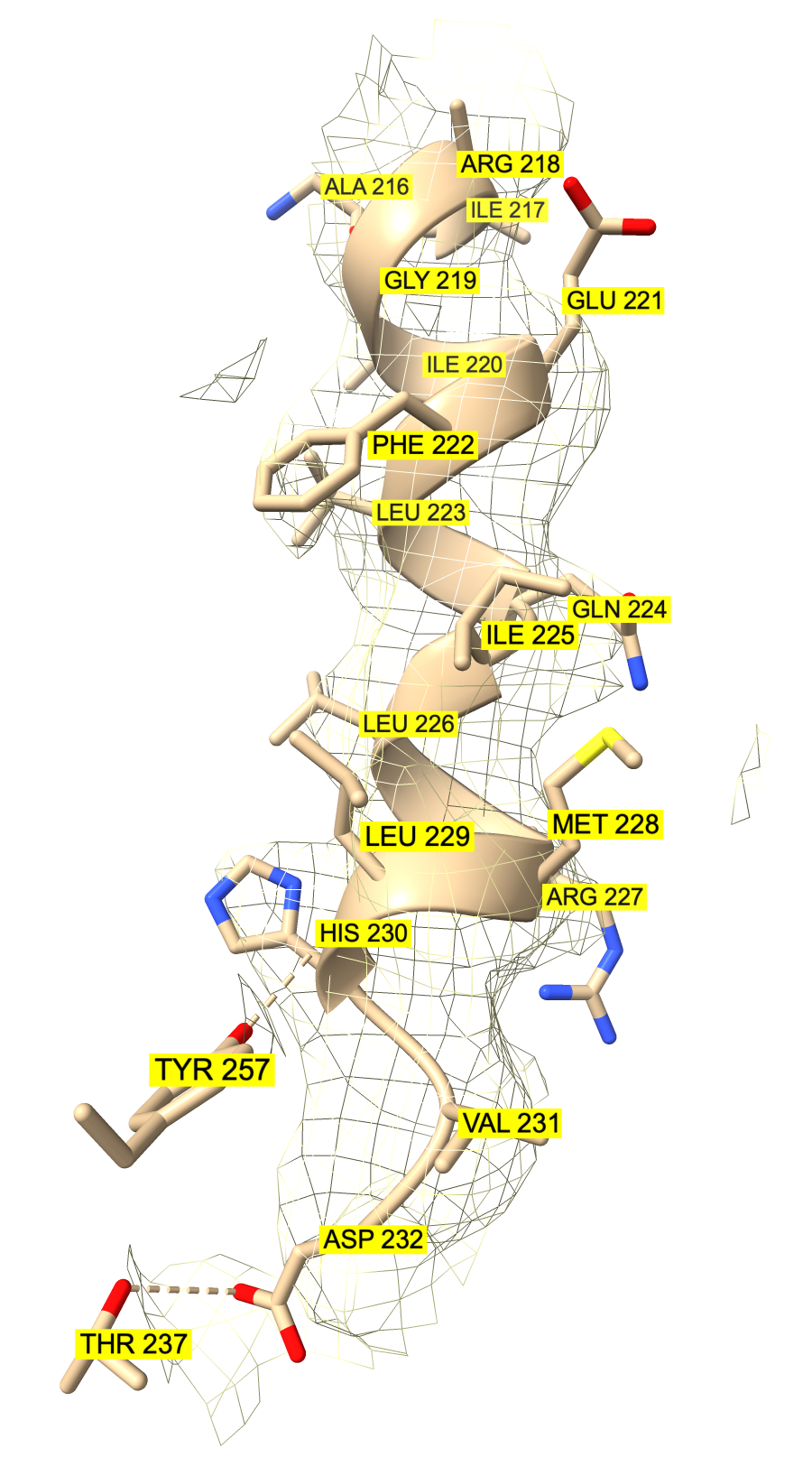 S4 voltage sensor helix