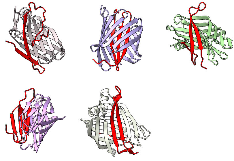 Amyloid beta binders
