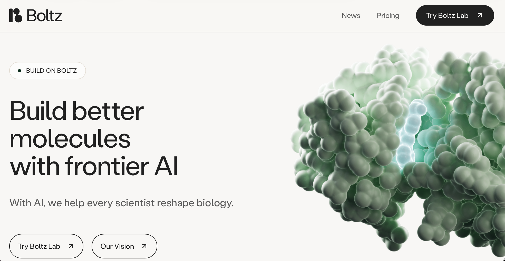 Boltz company web page