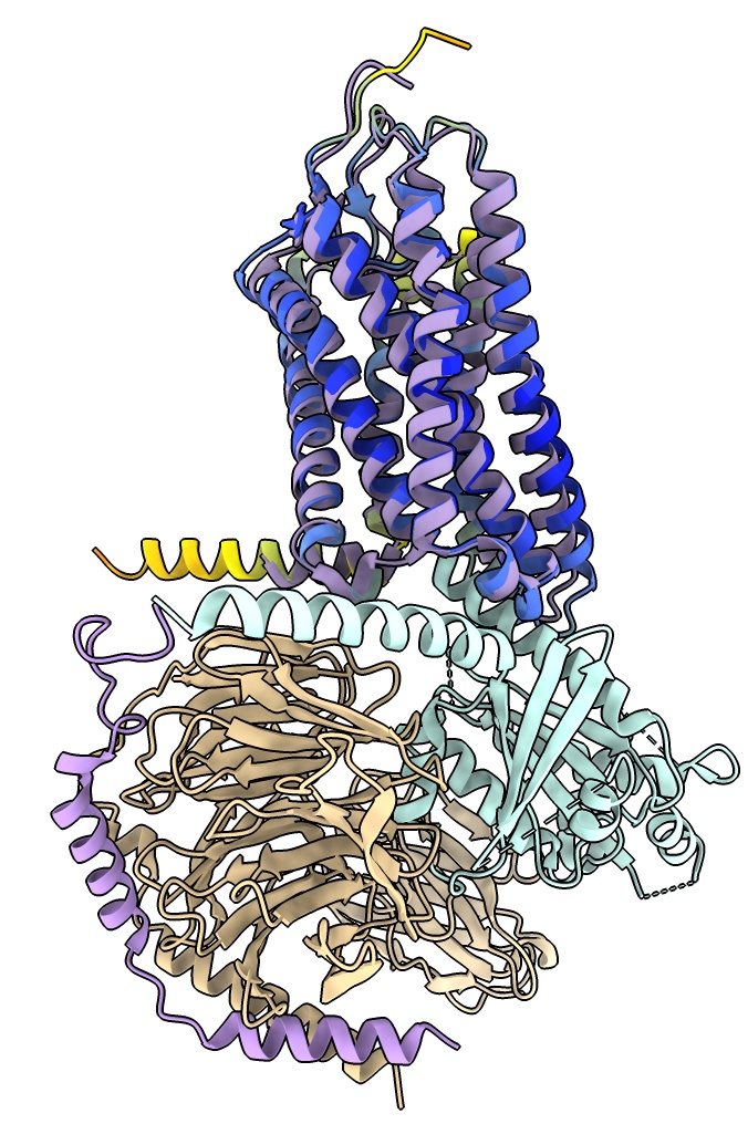 computer generated image