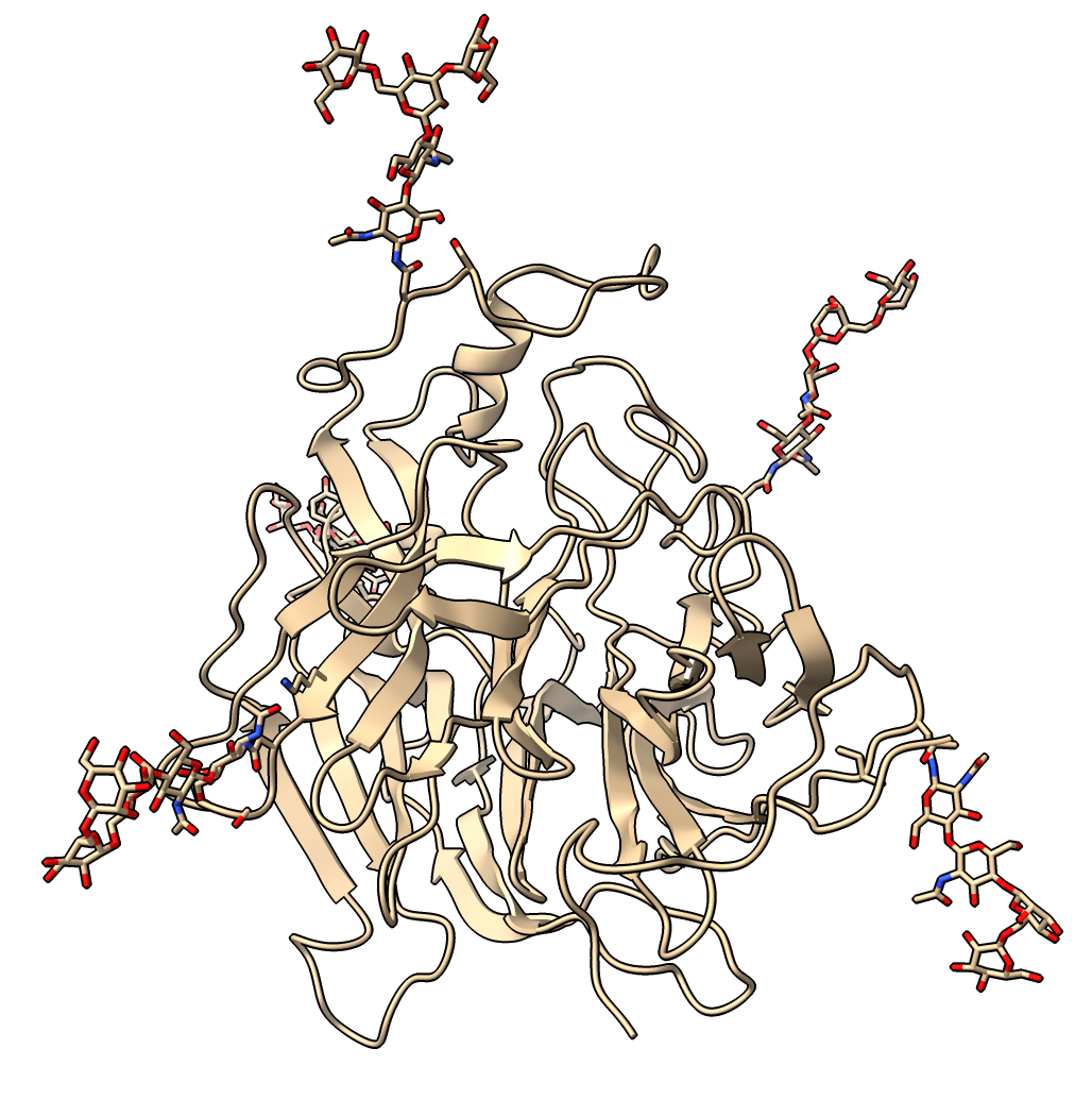 computer generated image