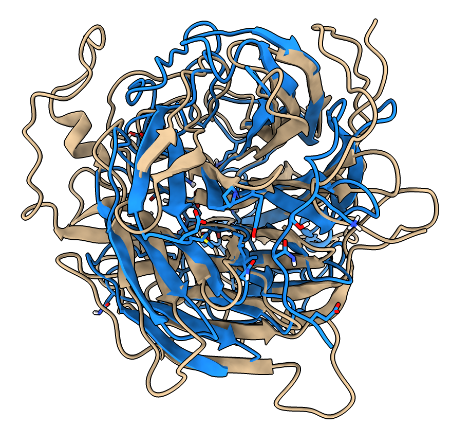 computer generated image