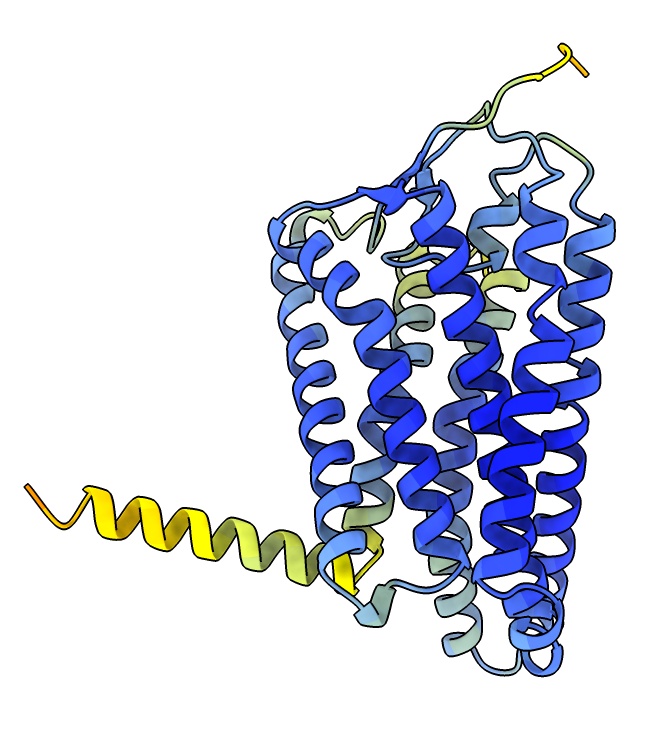 computer generated image