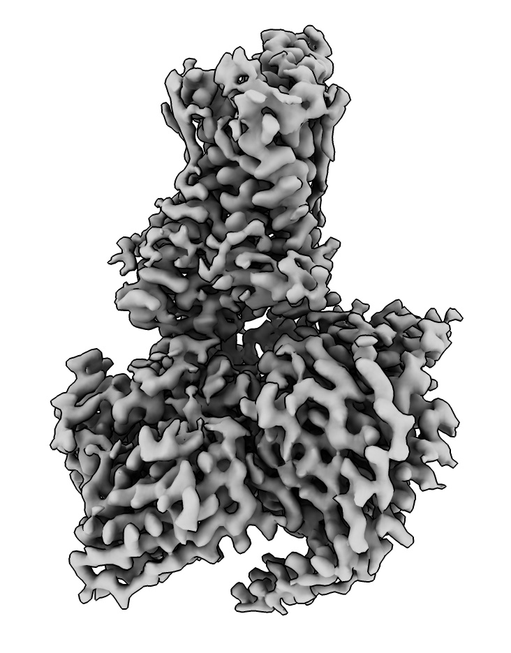 computer generated image