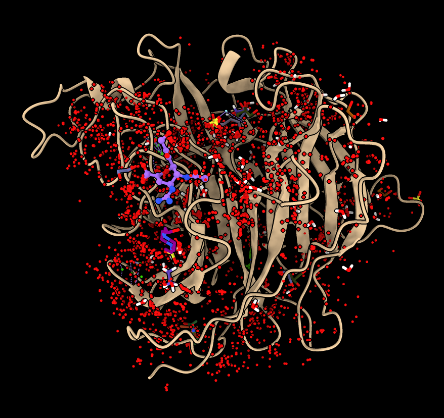 computer generated image