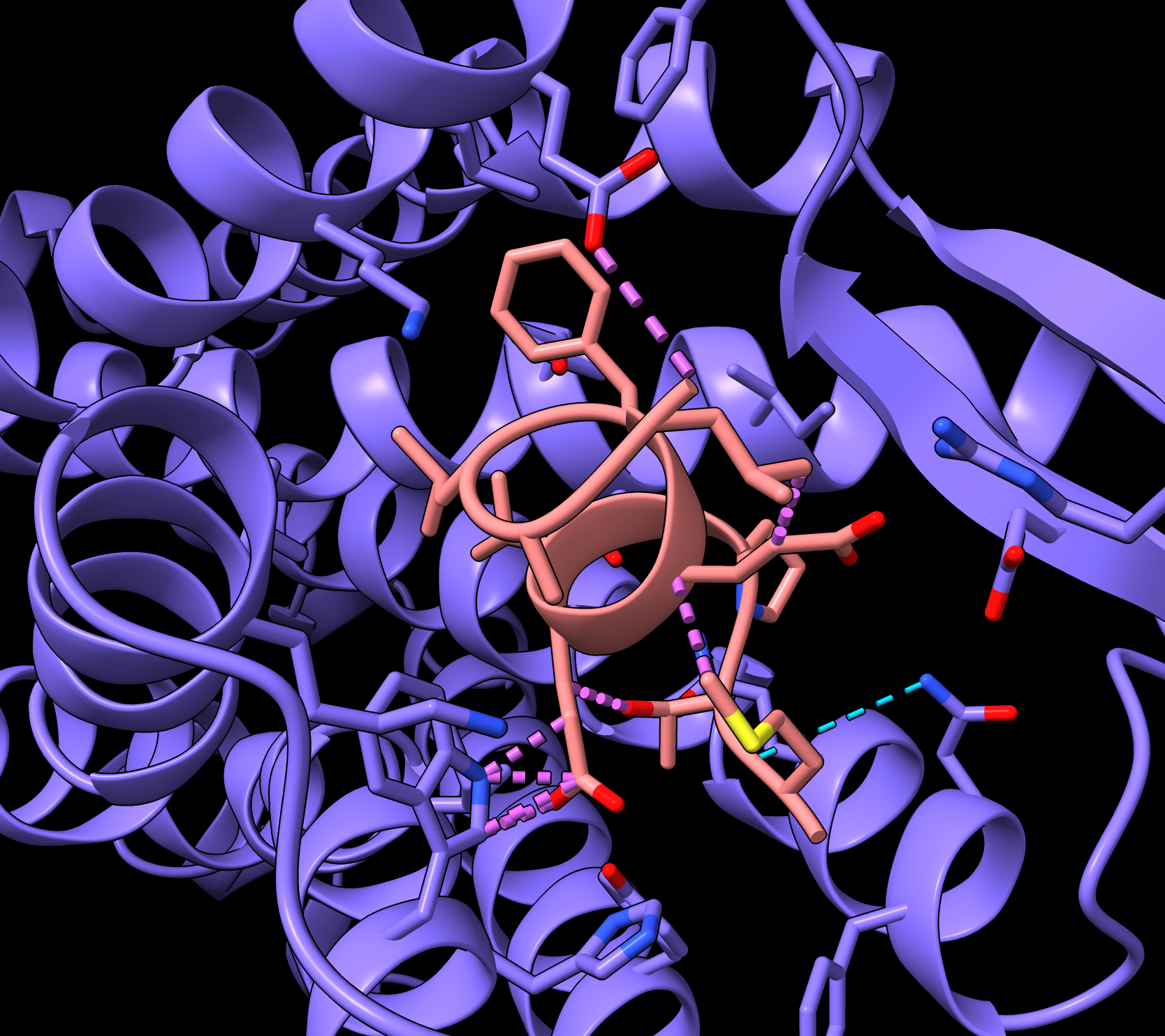 Opioid peptide designed by BoltzGen