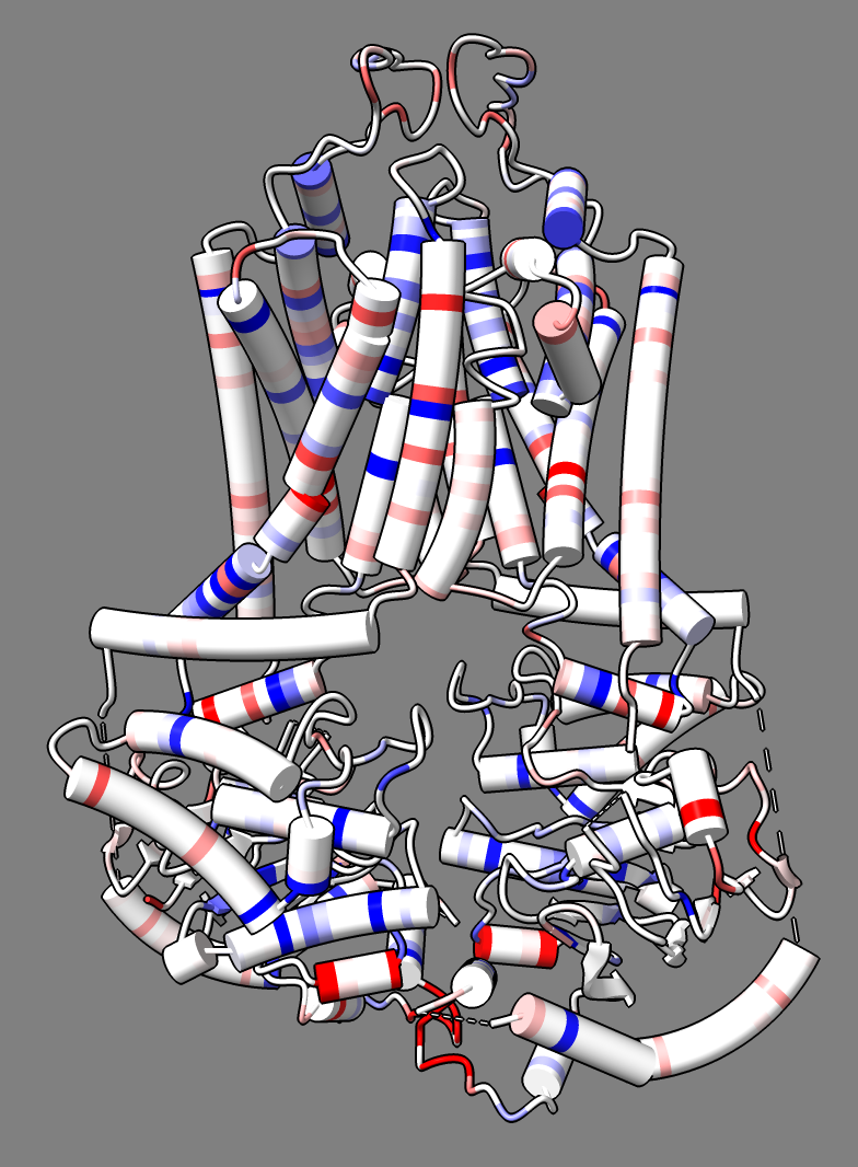 Protein colored by mutation scores