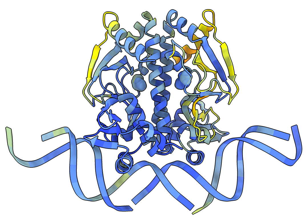 NTCA transcription factor