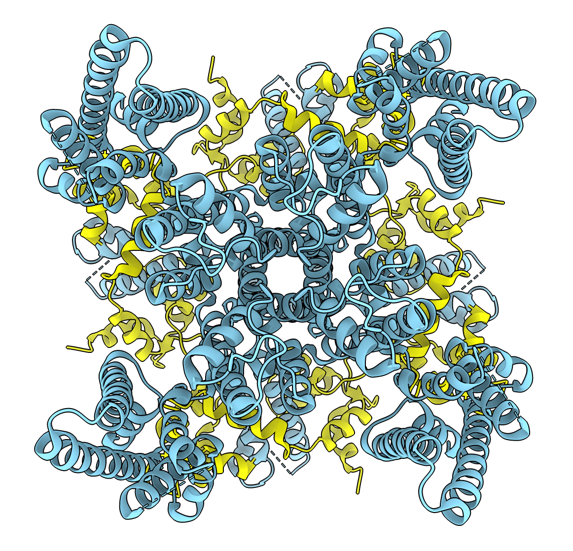 computer generated image