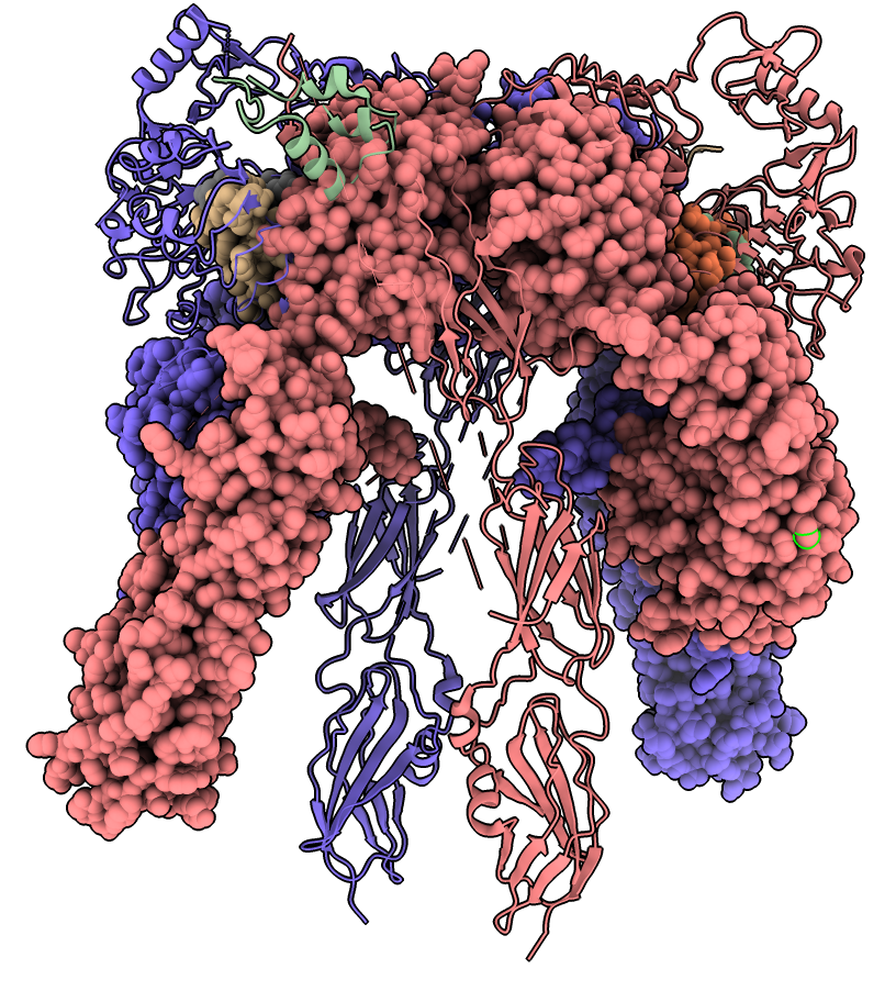 computer generated image