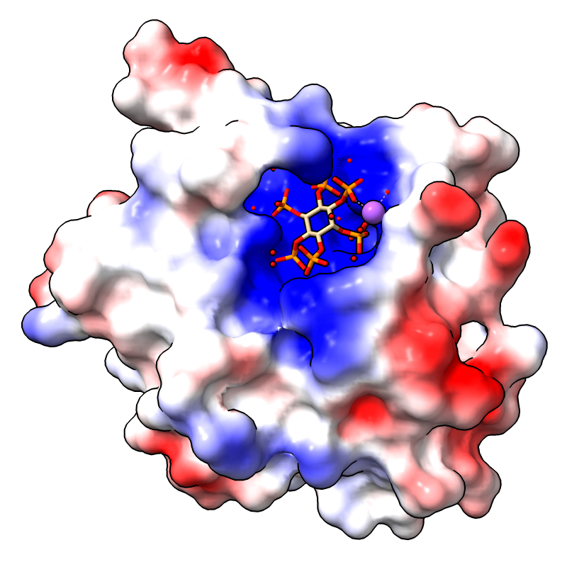 3eeb assembly 1 Coulombic ESP coloring